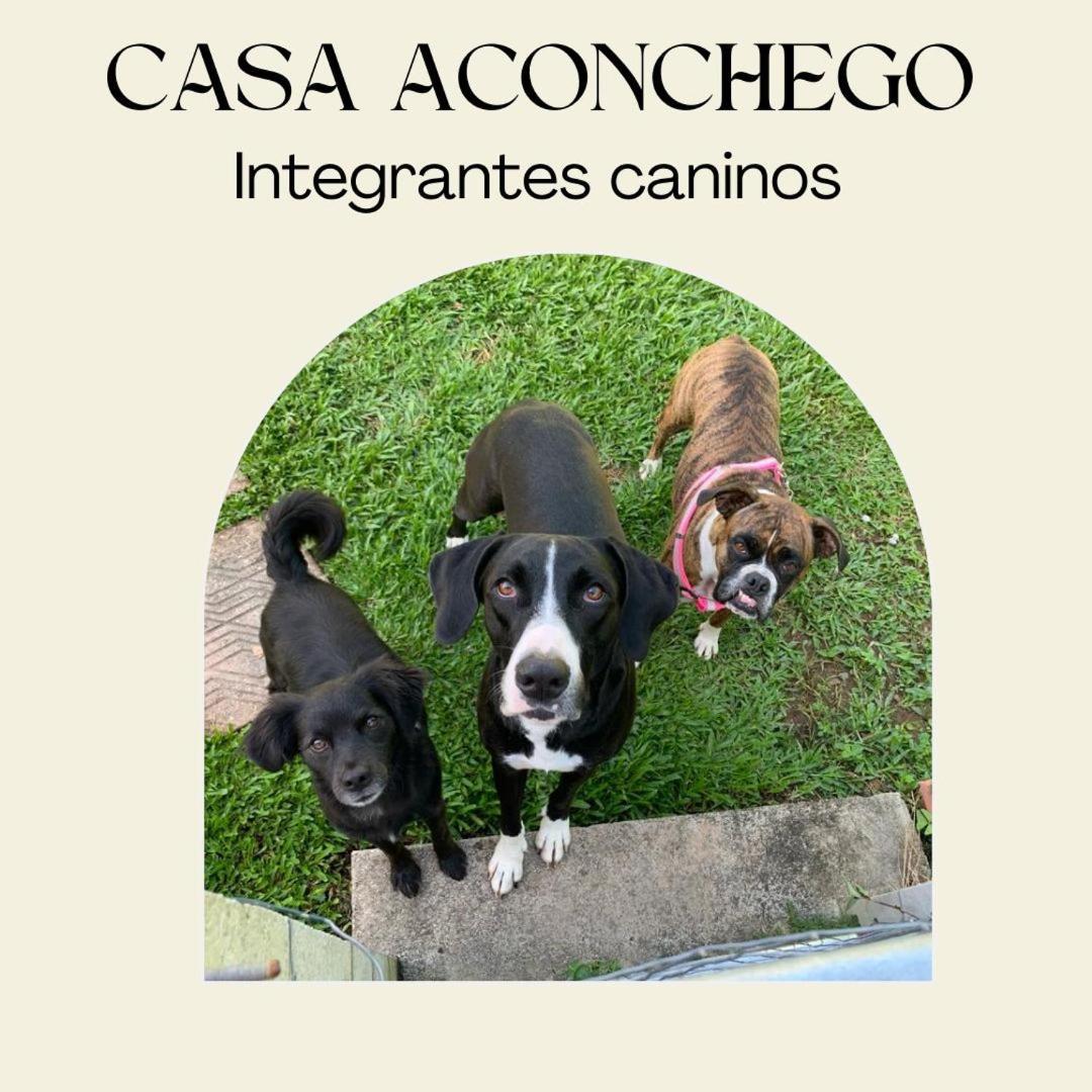 Casa Aconchego 345 Ao Lado Alles Park Помероди Екстериор снимка